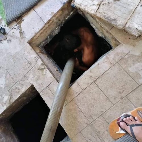 292921386_742712373624634_5939492176779589979_n